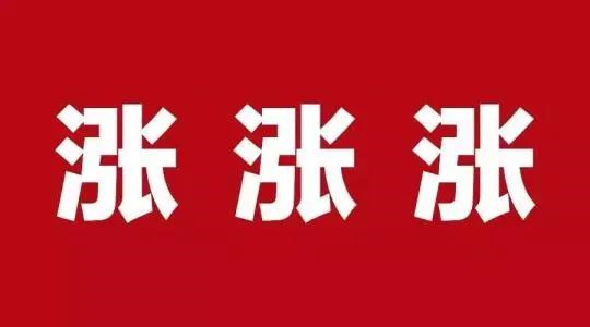 2021年涂料原材料漲價(jià)潮